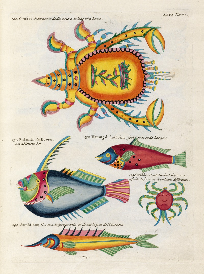 Louis Renard - Poissons, ecrevisses et crabes, de diverses couleurs et figures extraordinaires.. Pl.089