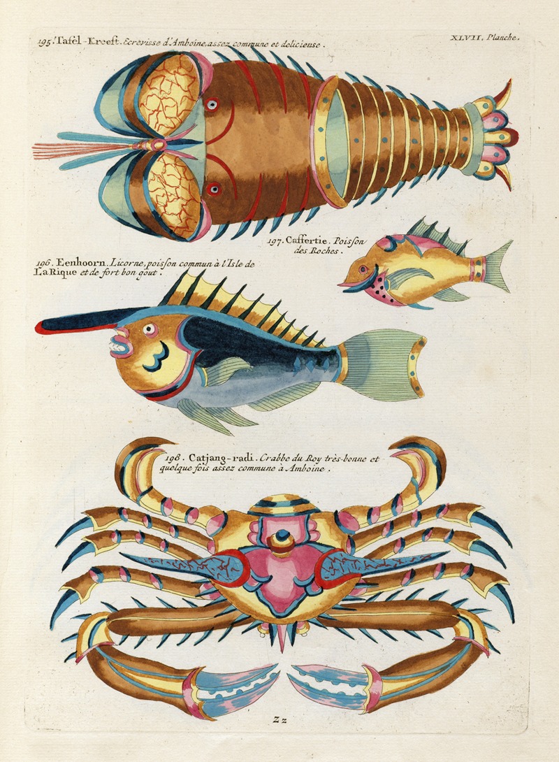 Louis Renard - Poissons, ecrevisses et crabes, de diverses couleurs et figures extraordinaires.. Pl.090