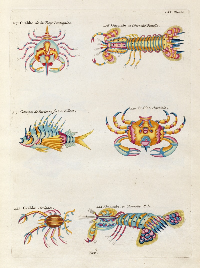 Louis Renard - Poissons, ecrevisses et crabes, de diverses couleurs et figures extraordinaires.. Pl.095