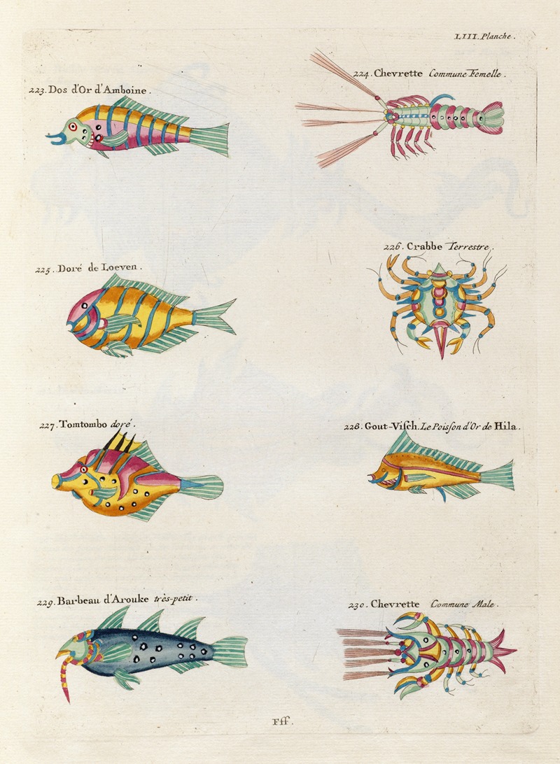 Louis Renard - Poissons, ecrevisses et crabes, de diverses couleurs et figures extraordinaires.. Pl.096