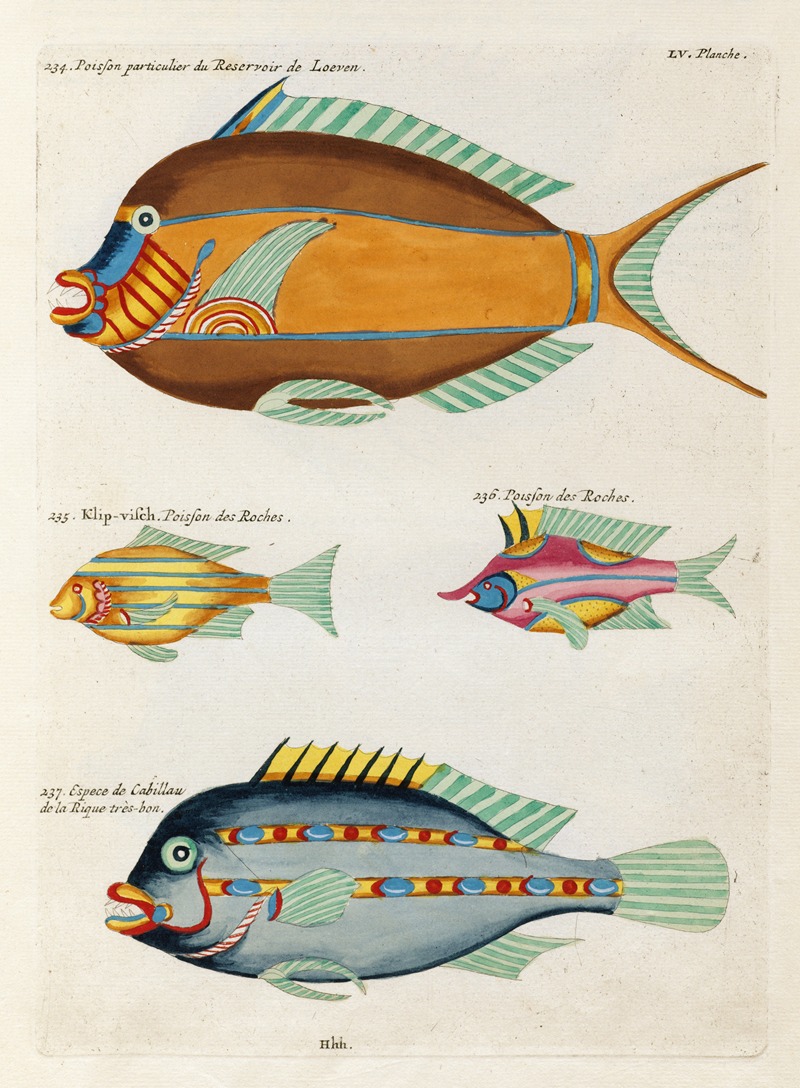 Louis Renard - Poissons, ecrevisses et crabes, de diverses couleurs et figures extraordinaires.. Pl.098