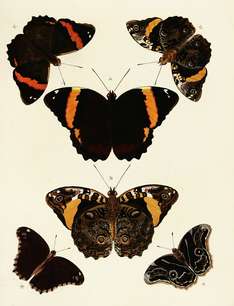 Pieter Cramer - Foreign butterflies occurring in the three continents Asia, Africa and America Pl.119