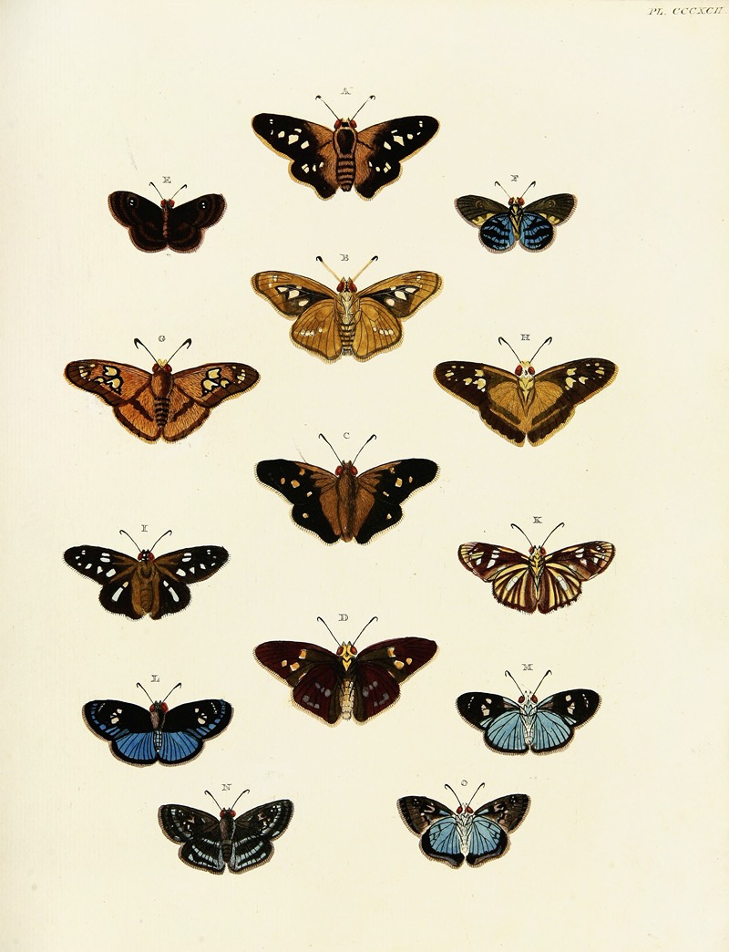 Pieter Cramer - Foreign butterflies occurring in the three continents Asia, Africa and America Pl.197
