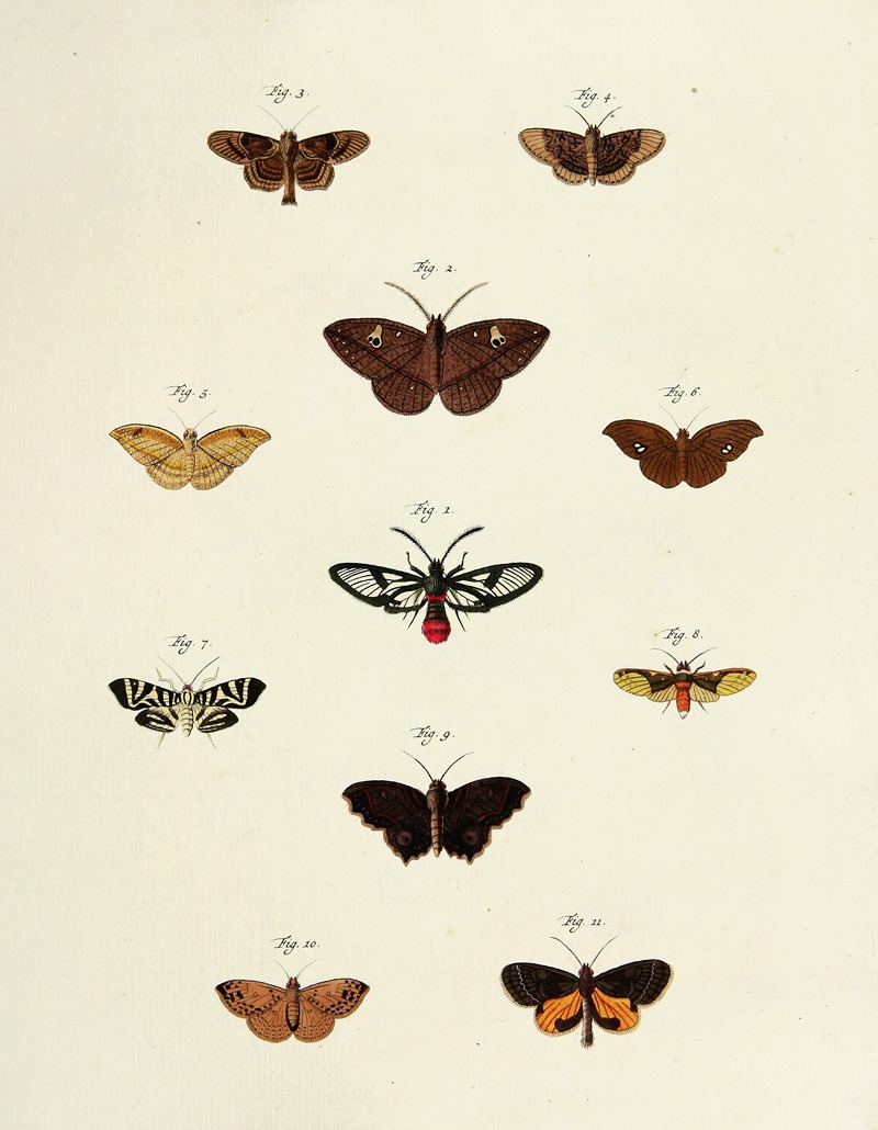 Pieter Cramer - Foreign butterflies occurring in the three continents Asia, Africa and America Pl.217