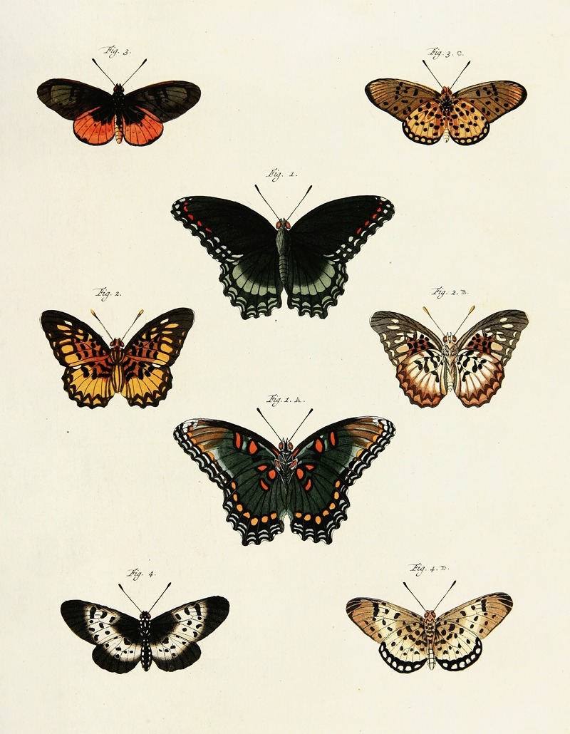 Pieter Cramer - Foreign butterflies occurring in the three continents Asia, Africa and America Pl.230