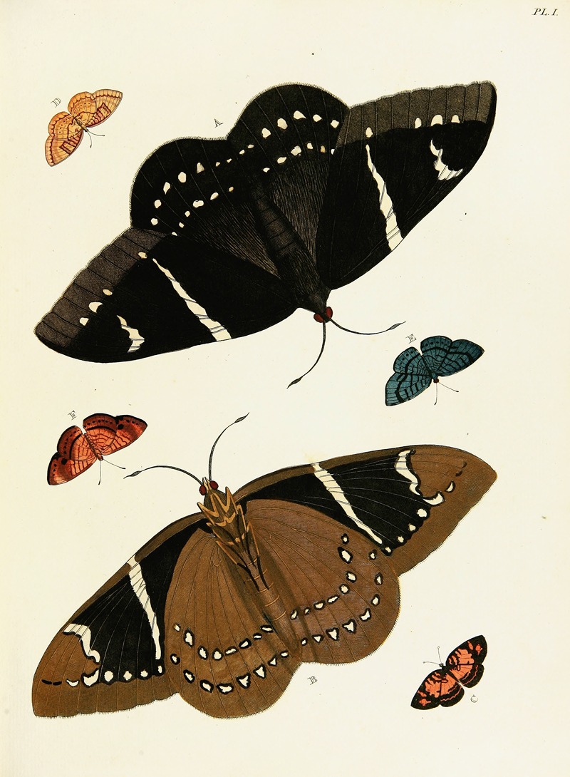 Pieter Cramer - Foreign butterflies occurring in the three continents Asia, Africa and America Pl.248