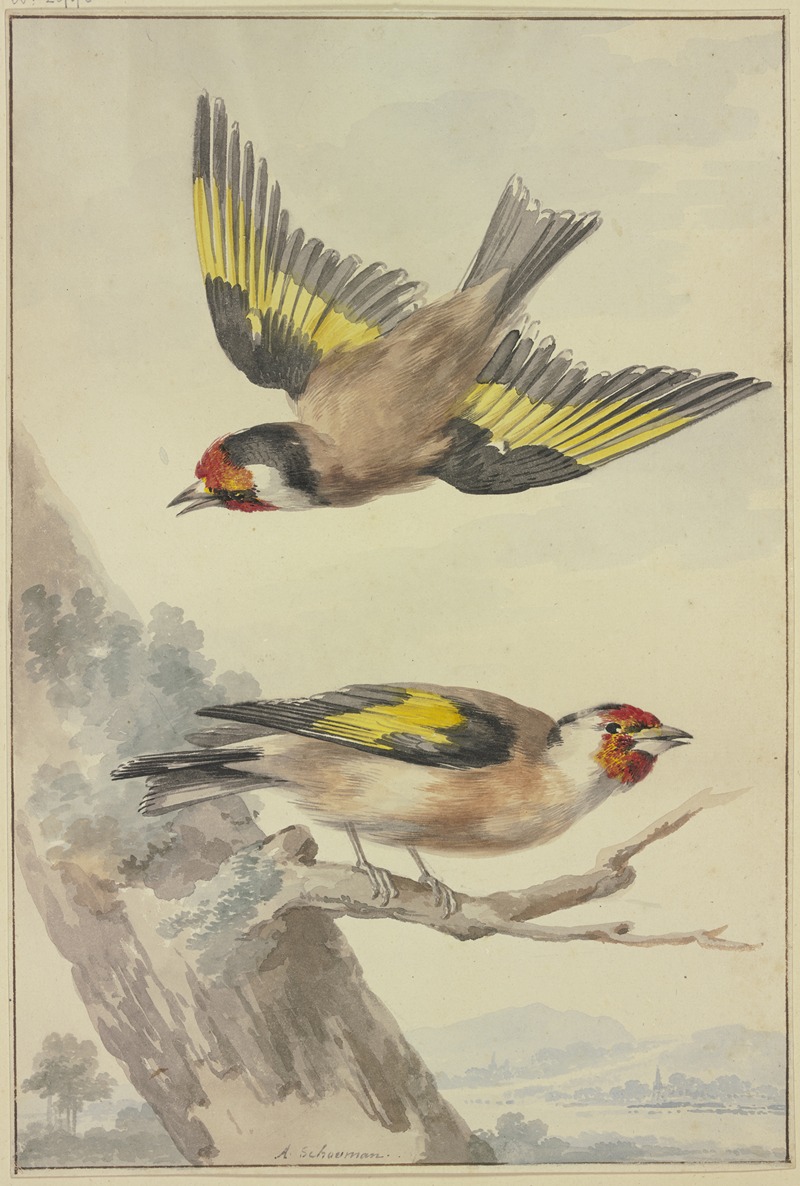 Aert Schouman - Two goldfinches