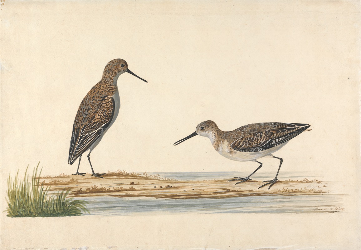 Charles Collins - A Pair of Stints