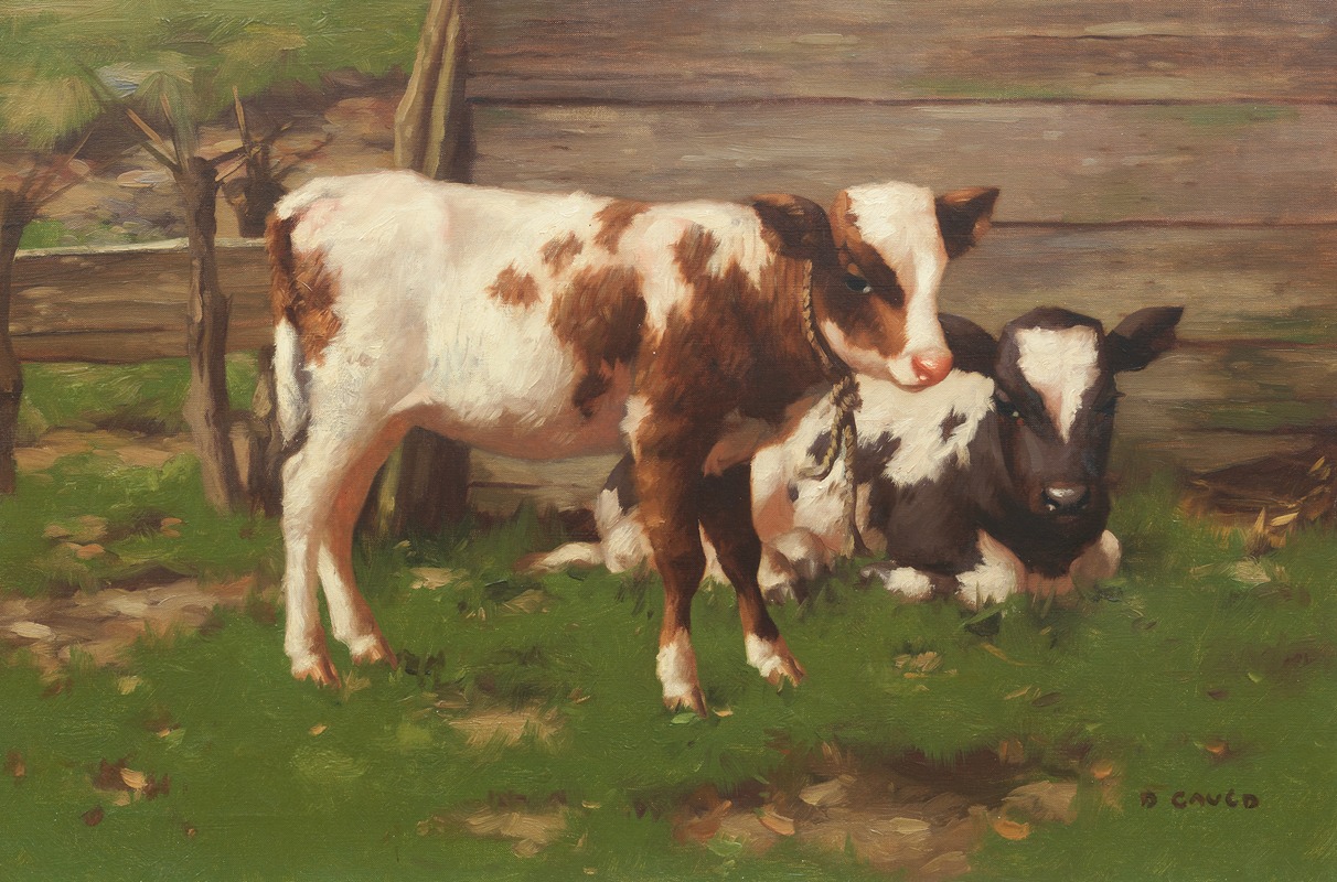 David Gauld - Calves Outside a Barn