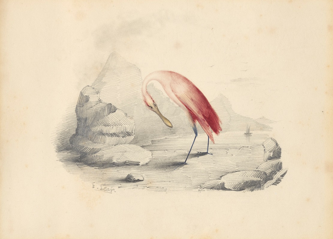 Edward Lear - A flamingo