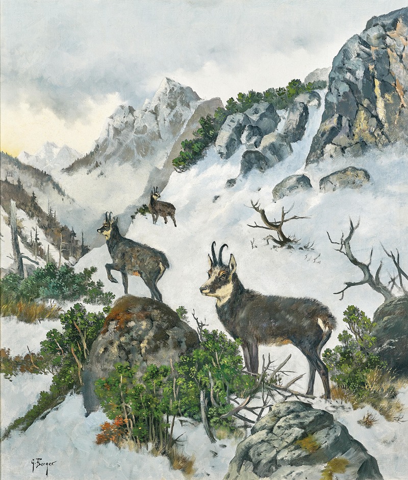 Georg Berger - Chamois High in the Mountains