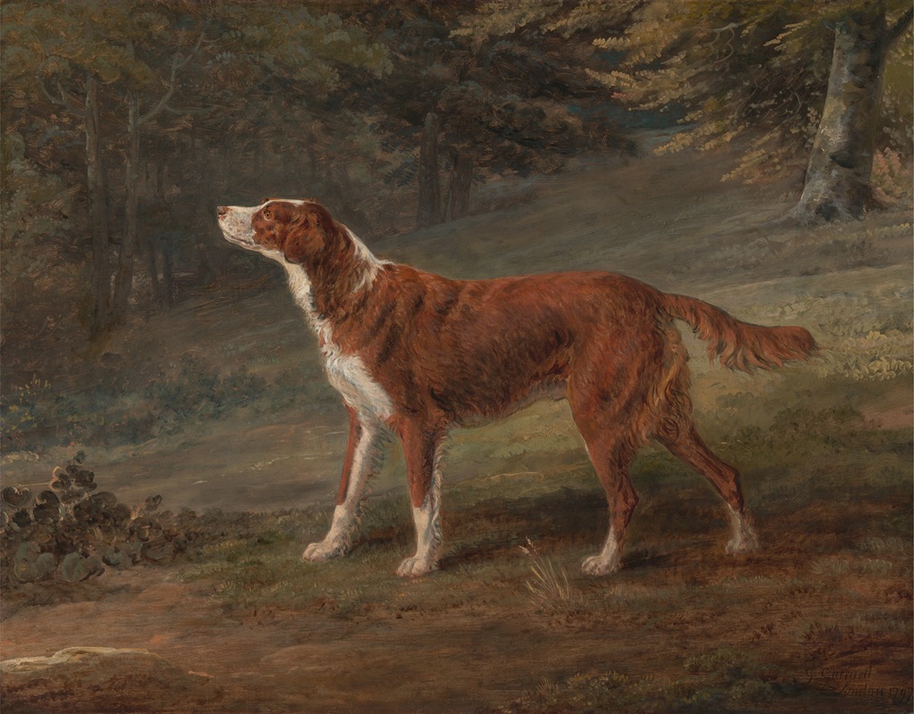 George Garrard - Ranger, a setter, the property of Elizabeth Gray