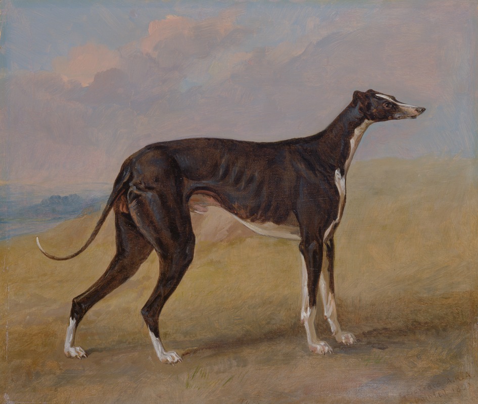 George Garrard - Turk, a greyhound, the property of George Lane Fox