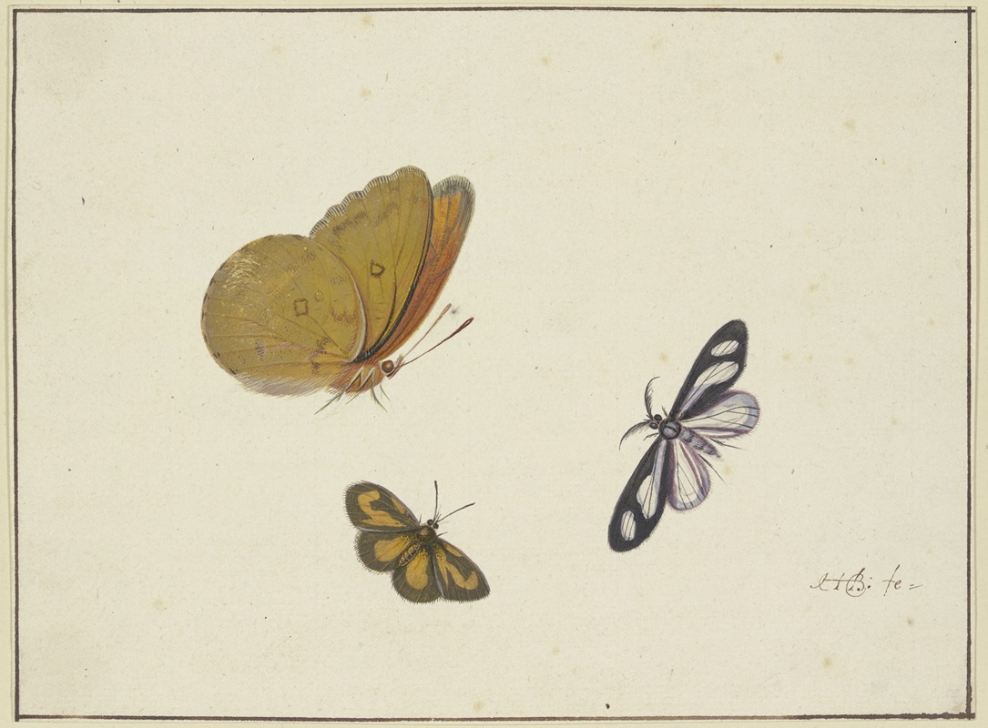 Herman Henstenburgh - Ein gelber, ein schwarz-gelber und ein schwarz-weißer Schmetterling
