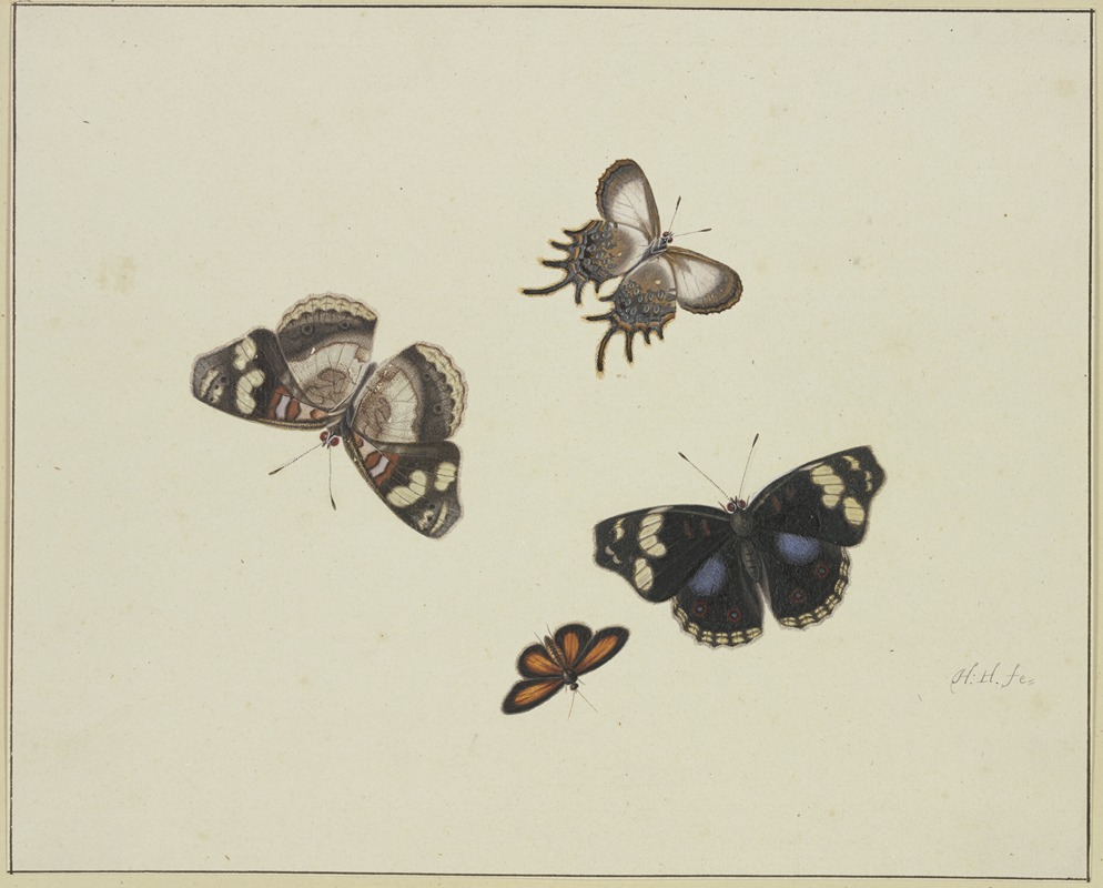 Herman Henstenburgh - Four butterflies