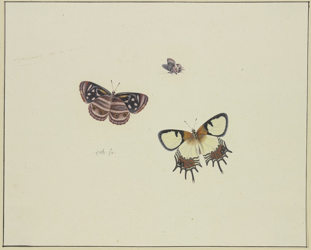 Herman Henstenburgh - Three butterflies
