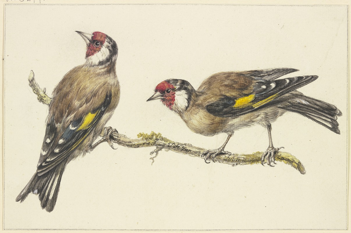 J. H. Van Loon - Two goldfinches