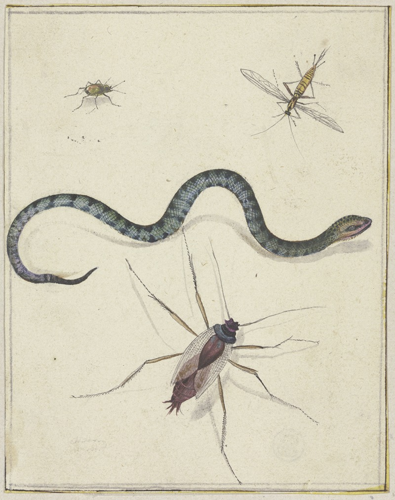 Jacob de Gheyn II - Drei unterschiedlich große Insekten und eine Schlange