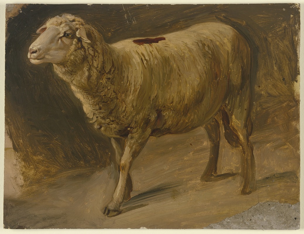 Jakob Becker - Sheep.