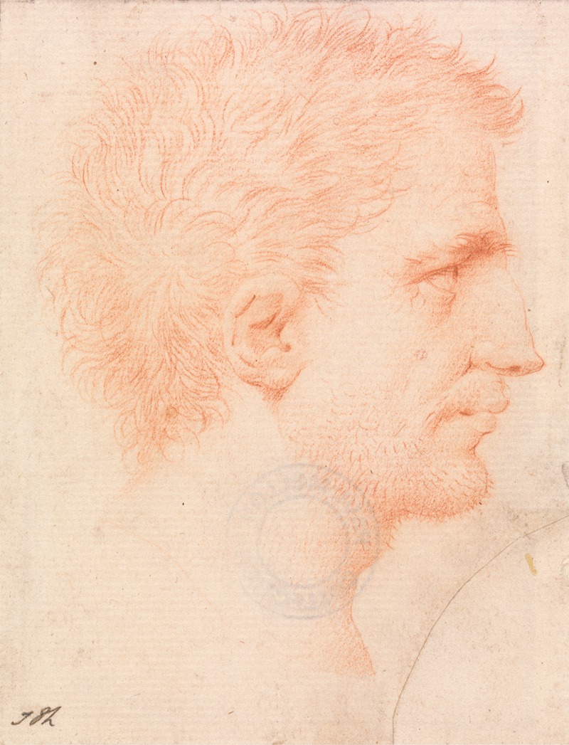 Giles Hussey - Head of a Man with Stubble Beard, Facing Right