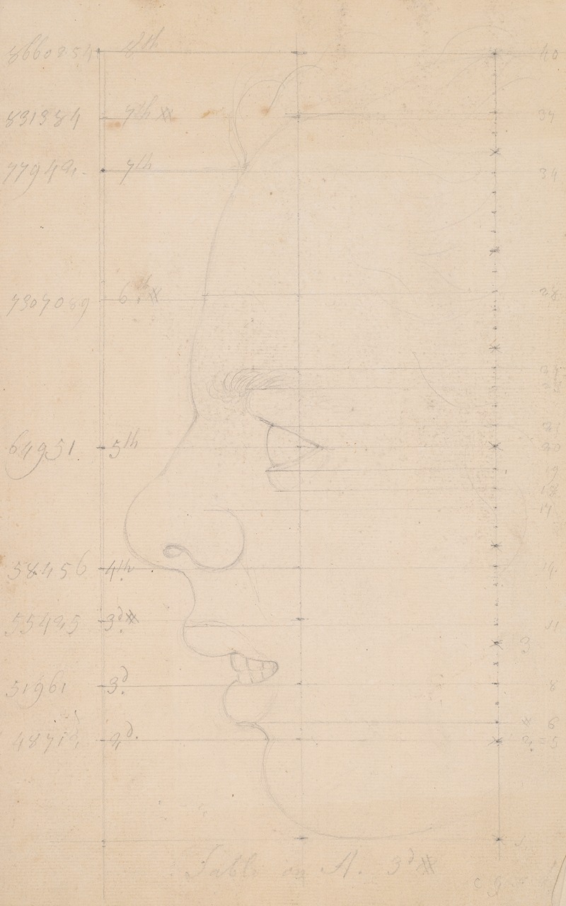 Giles Hussey - Study of physiognomy of face