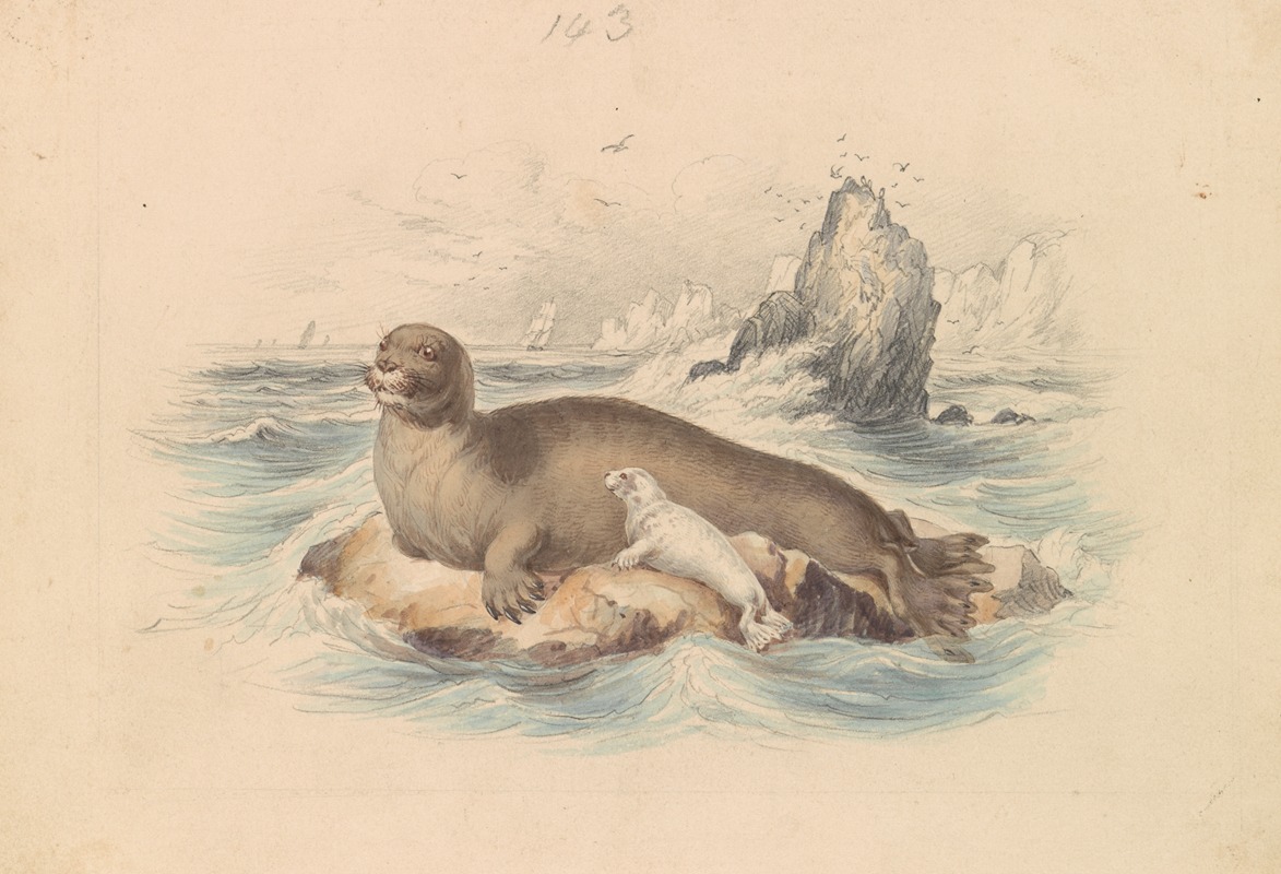 James Stewart - The Bearded Seal