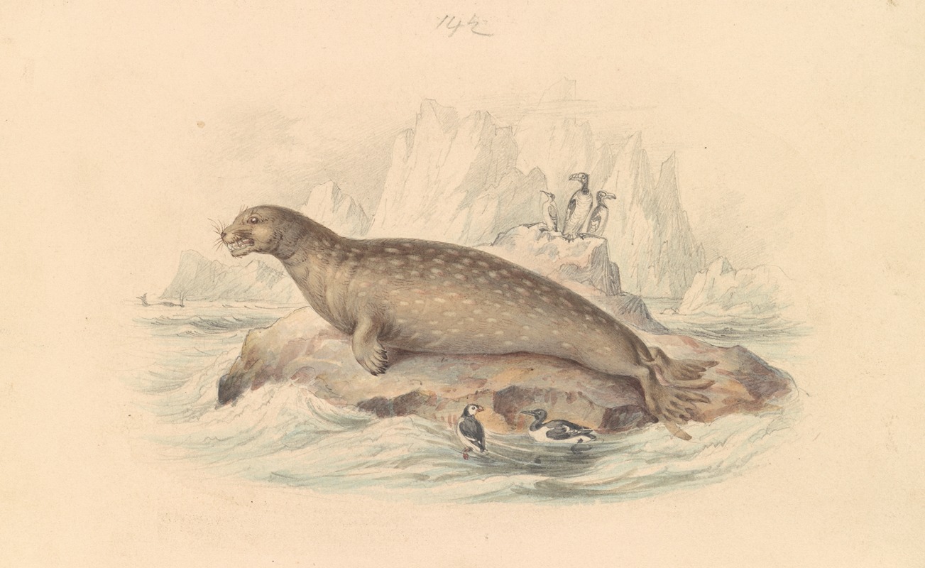 James Stewart - The Leopard Seal