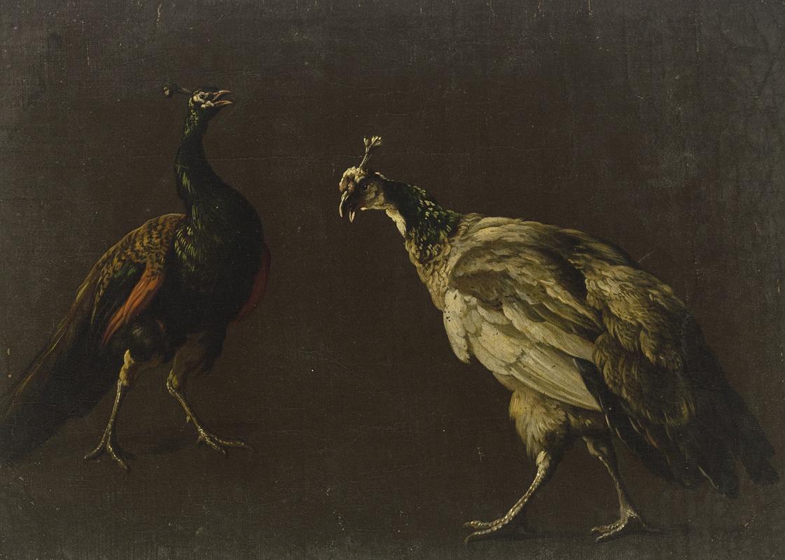 Jan Weenix - Peacock and peahen