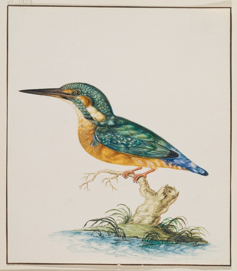Johann Ludwig Ernst Morgenstern - A Kingfisher