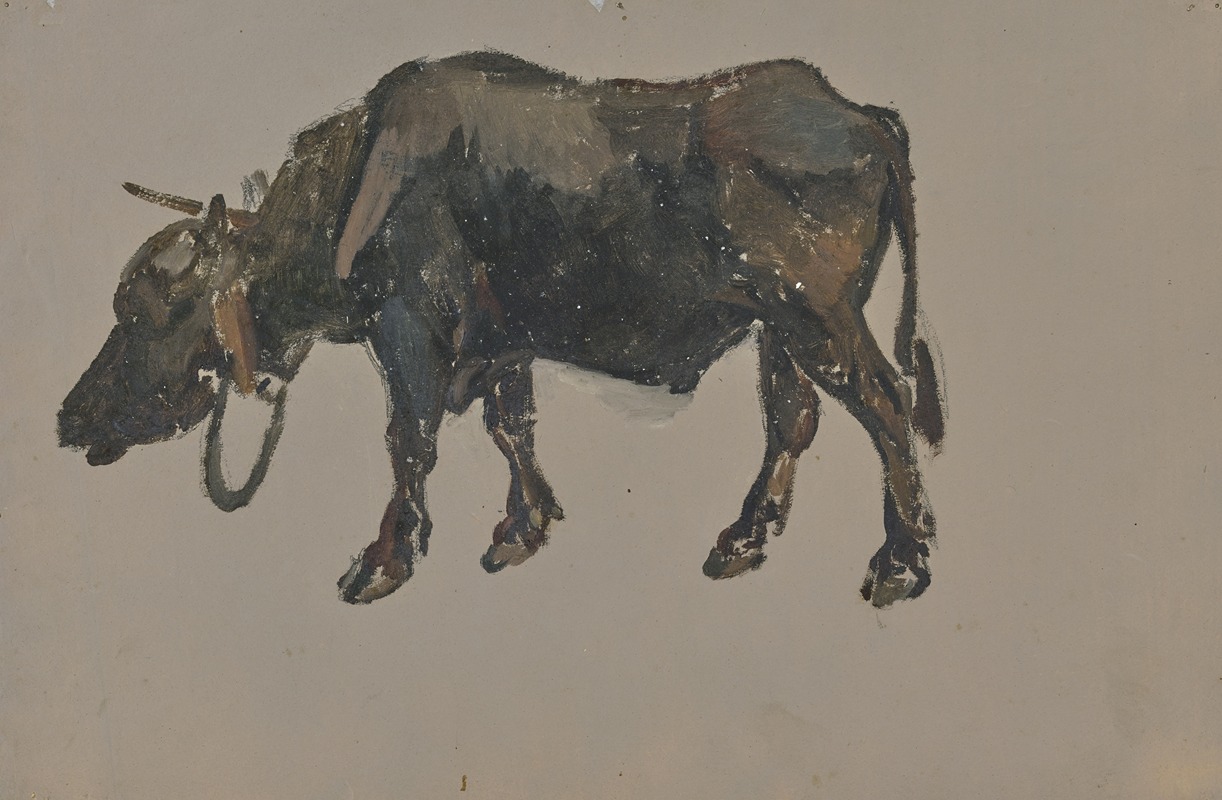 Johann Nepomuk Rauch - A buffalo.
