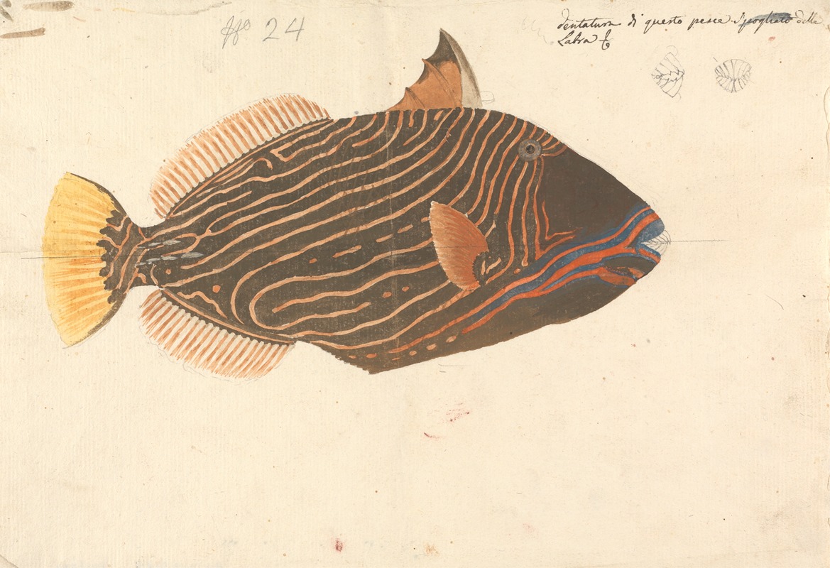 Luigi Balugani - A Fish