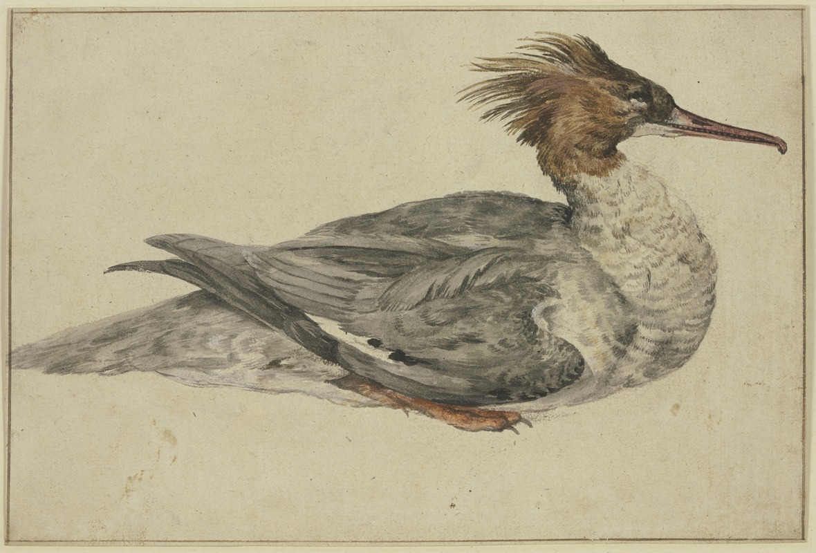 Melchior d'Hondecoeter - Liegende Ente mit brauner Haube, rotem Schnabel und Füßen