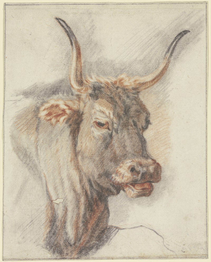 Paulus Potter - An ox head