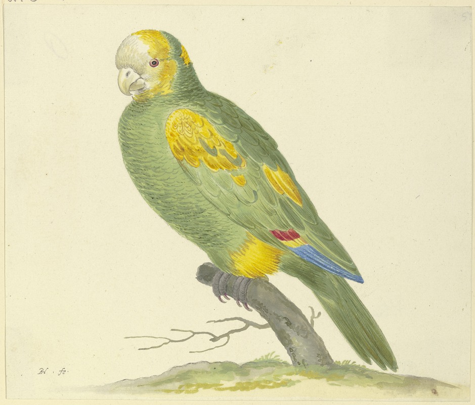 Pieter Holsteijn - Green parrot