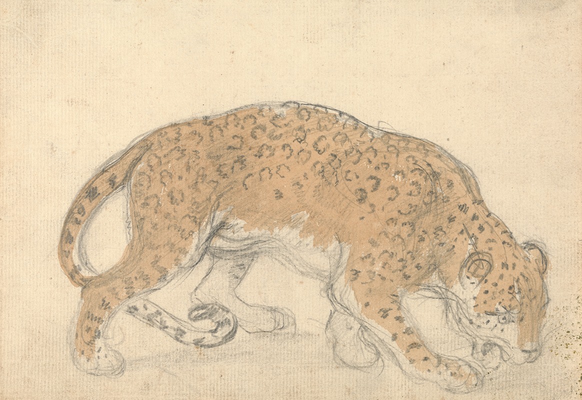 Sawrey Gilpin - Study of a leopard