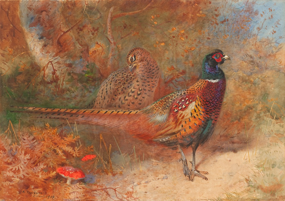 Archibald Thorburn - A cock and hen pheasant