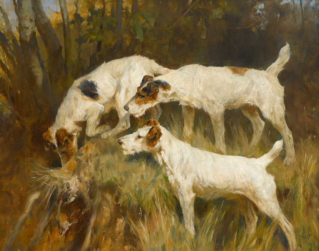 Arthur Wardle - Three Wire Fox Terriers working a hole