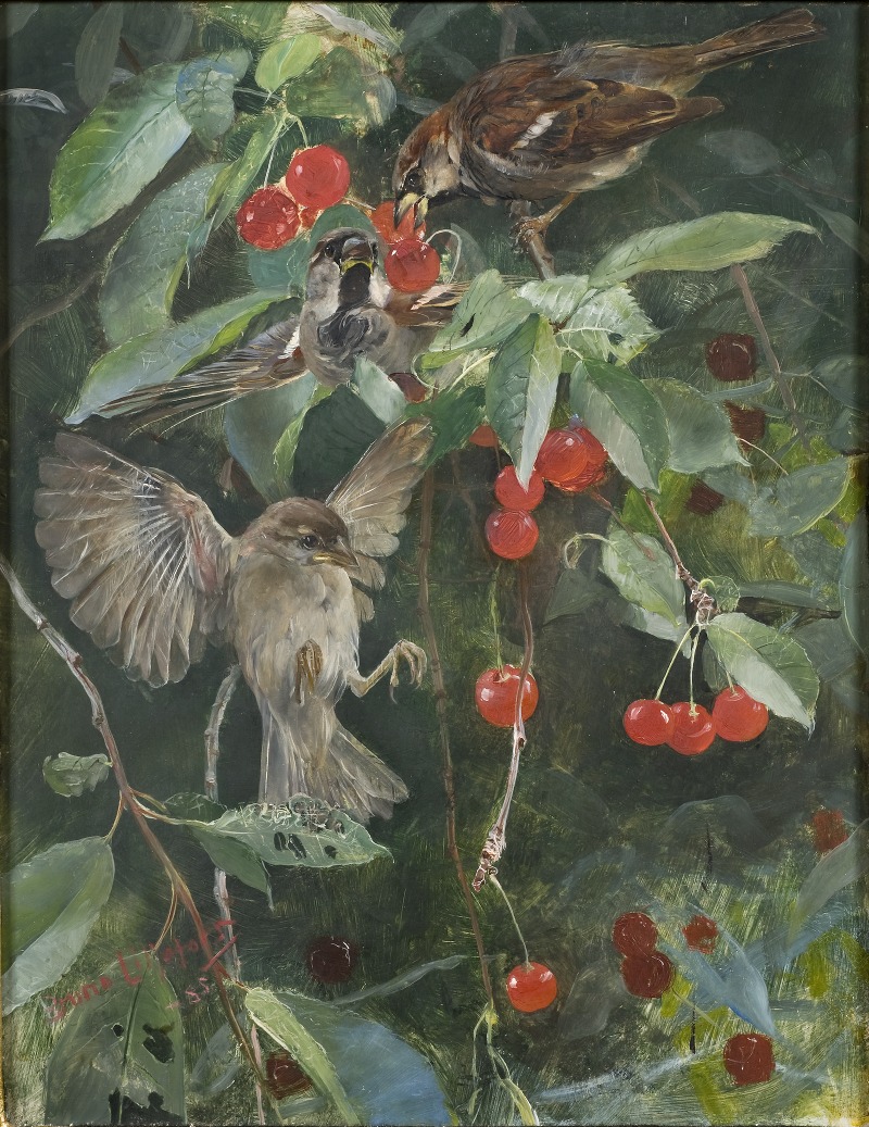 Bruno Liljefors - Sparrows in a Cherry Tree