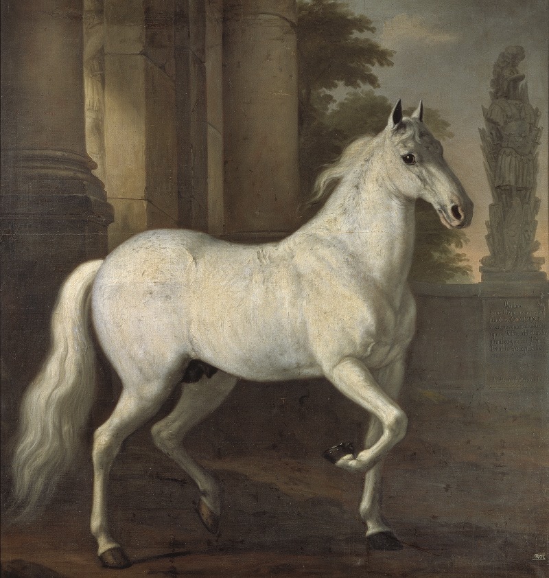 David Klöcker Ehrenstrahl - Karl XI’s livhäst Brilliant