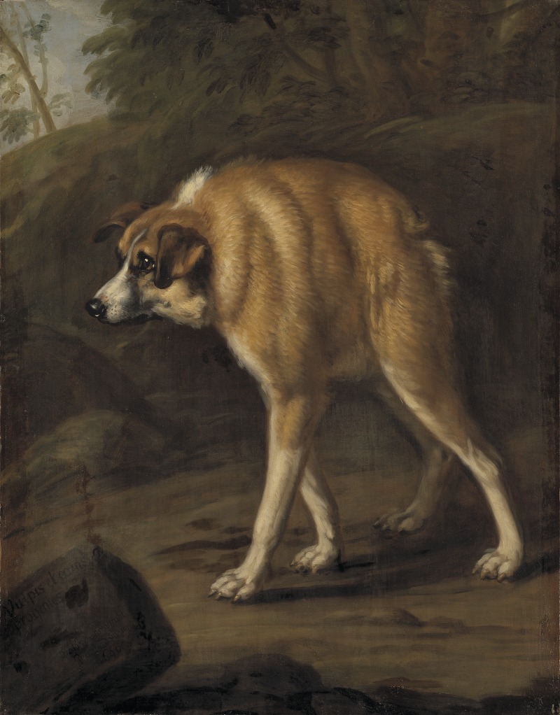David Klöcker Ehrenstrahl - Missbildad hund