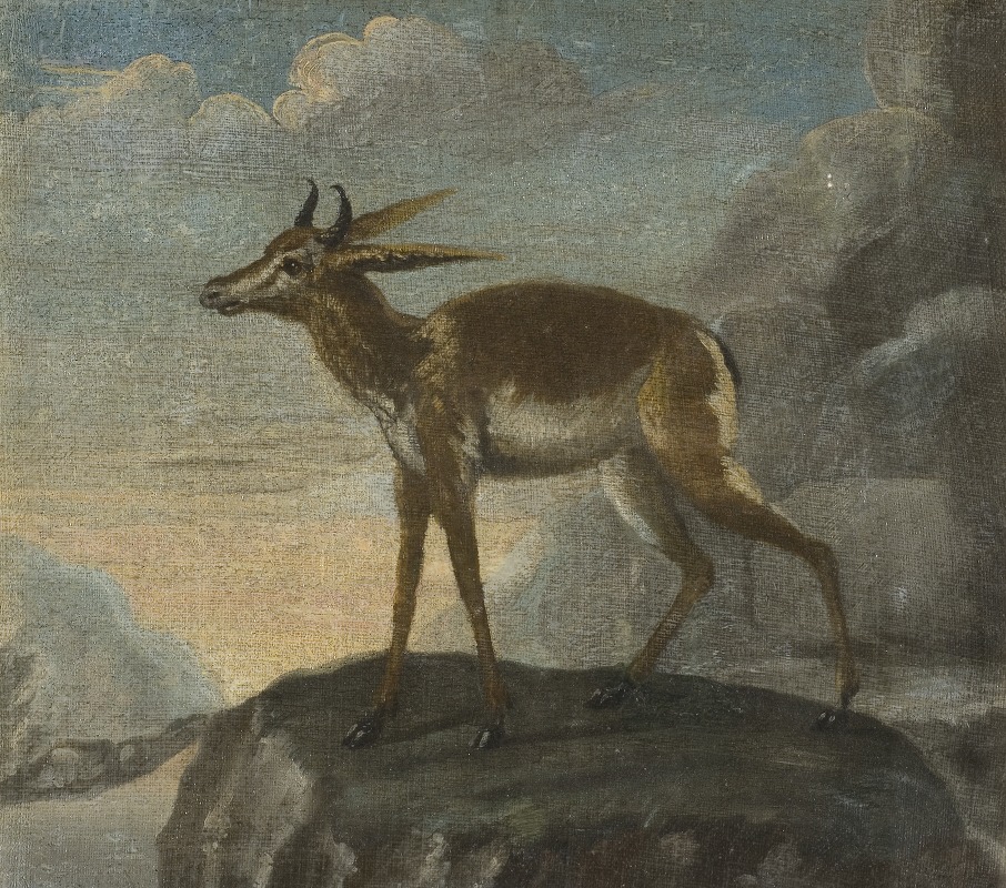 David Kock - Bengal deer