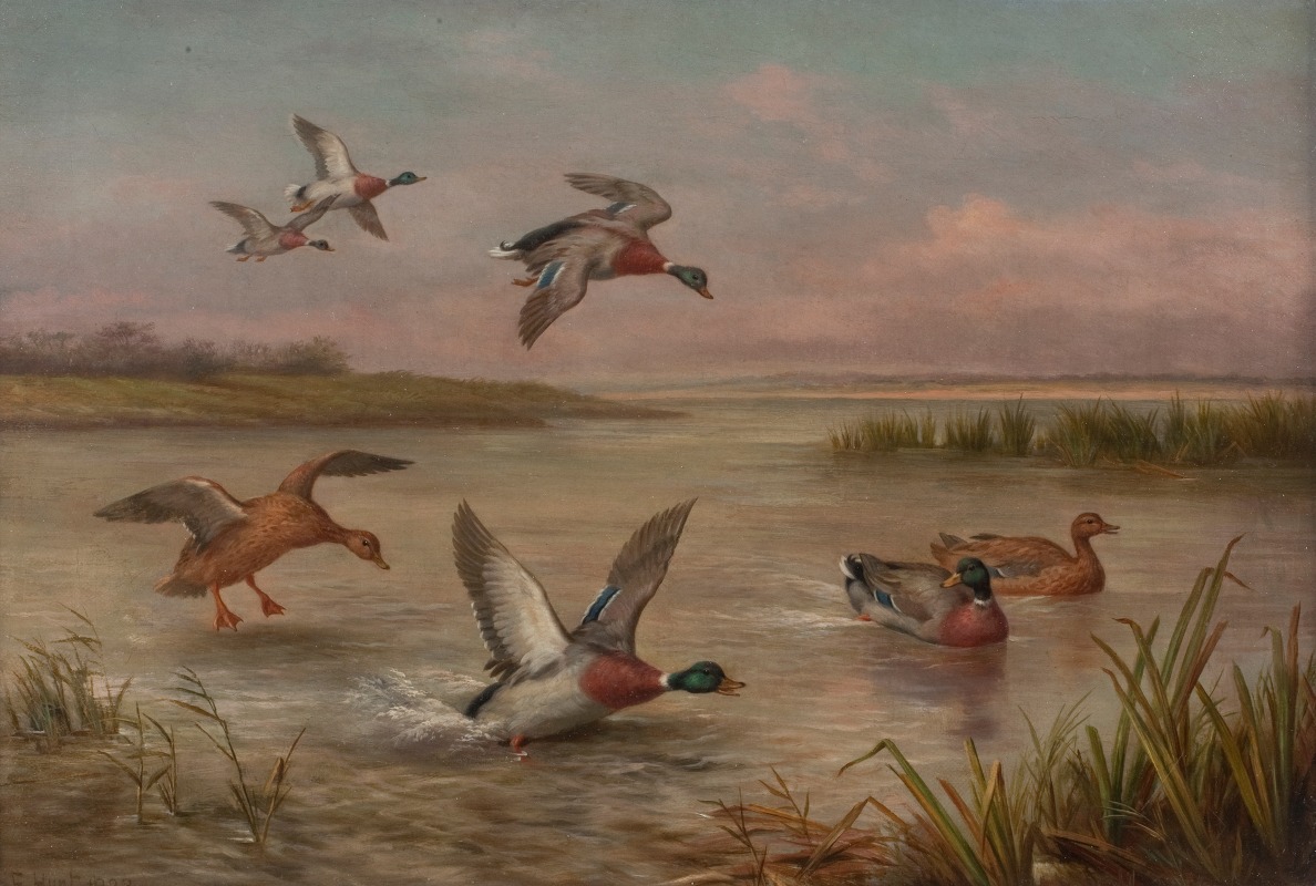Edgar Hunt - Ducks