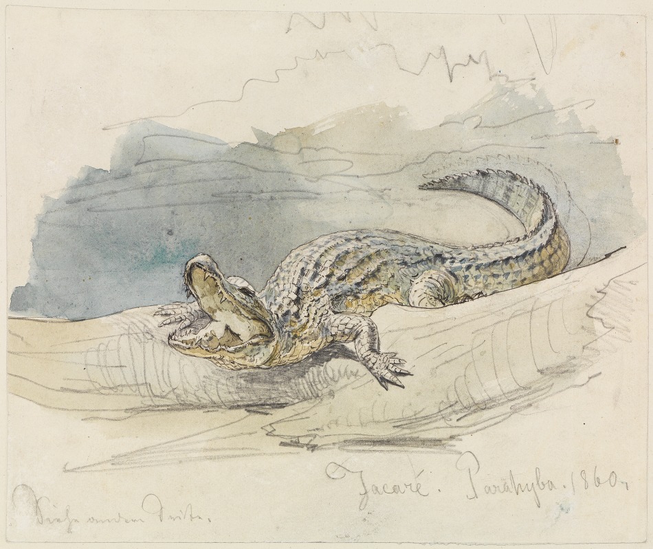 Ferdinand Keller - Studie eines Alligators