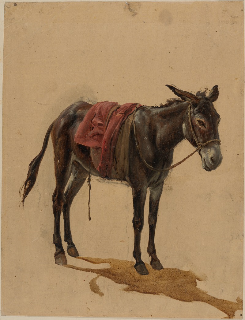 Johann Baptist Kirner - Esel