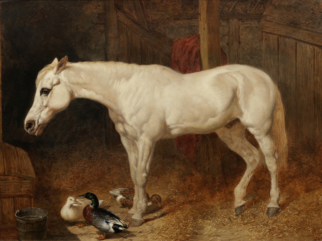John Frederick Herring Snr. - A grey horse in a stable