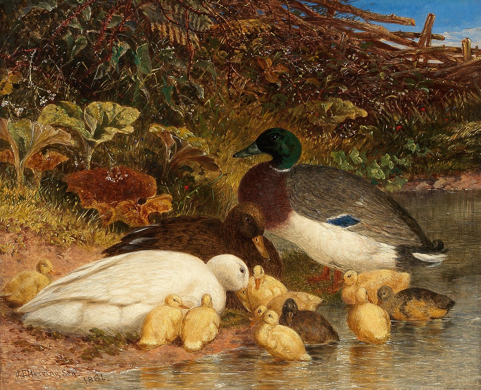 John Frederick Herring Snr. - Ducks and ducklings by a pond