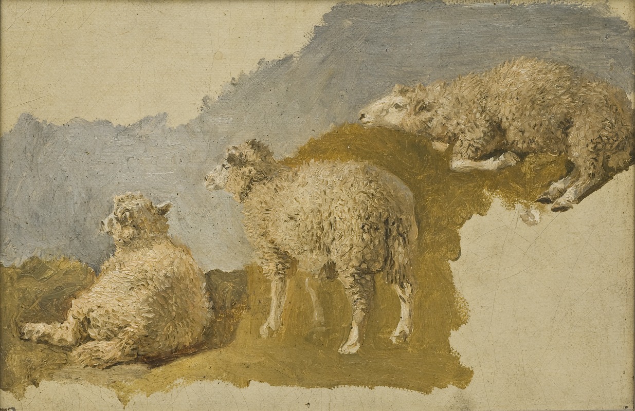 Kilian Zoll - Three Sheep. Study