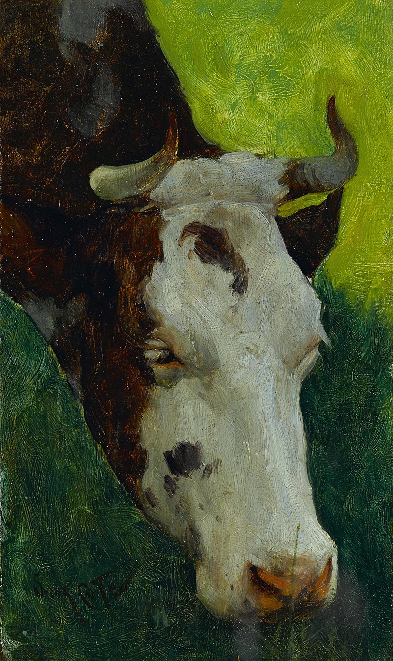 Marc-Aurèle de Foy Suzor-Côté - Study of a cow