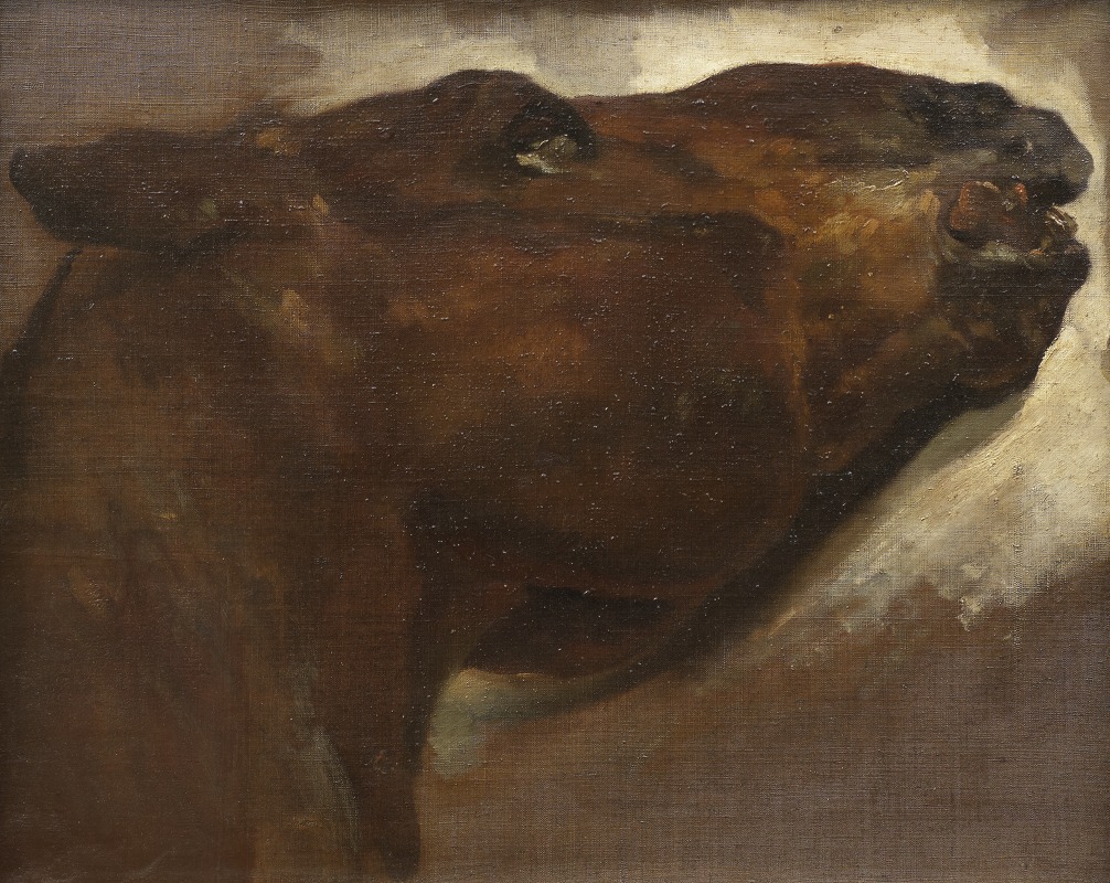 Théodore Géricault - Study of a Dead Horse