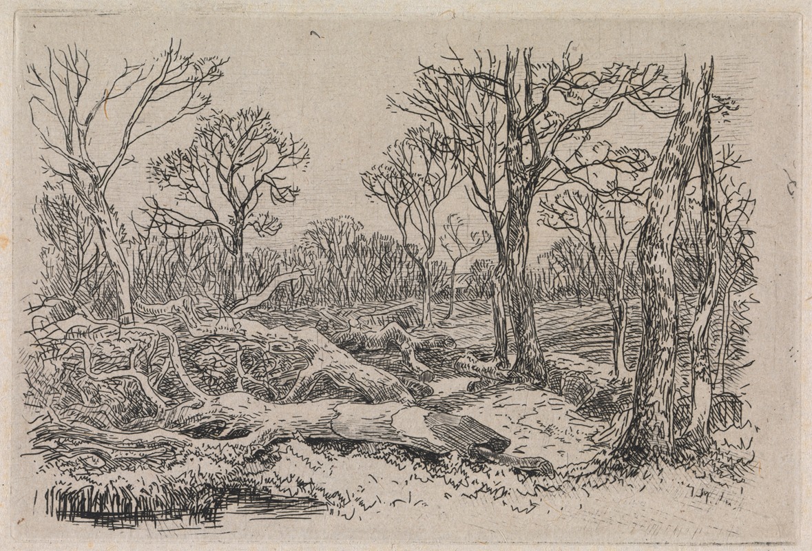 John Middleton - Felled Timber, Burningham